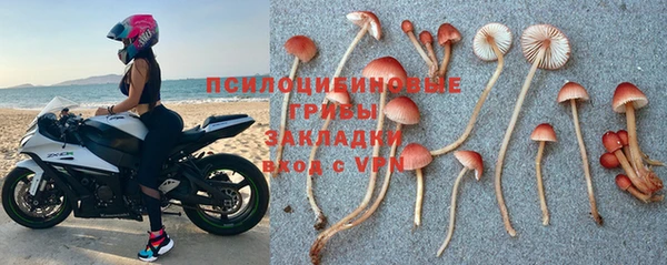 мяу мяу мука Абдулино