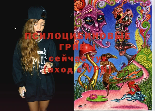 мяу мяу мука Абдулино