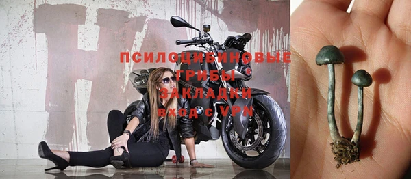 мяу мяу мука Абдулино